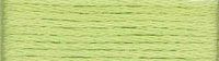 Presencia Finca Threads #16 thread #4799 Light Green