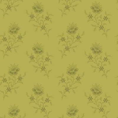 Evergreen - Fern Envy