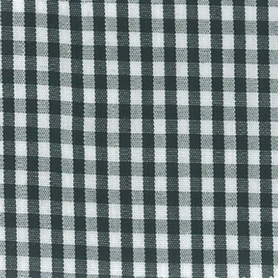 Building Blocks Basics - Picnic Check 2MM Black x 10"