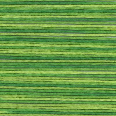 Cosmo Seasons variegated 5015