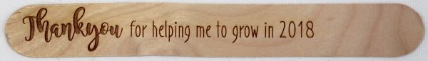 Teacher's Present - Popsicle Messages