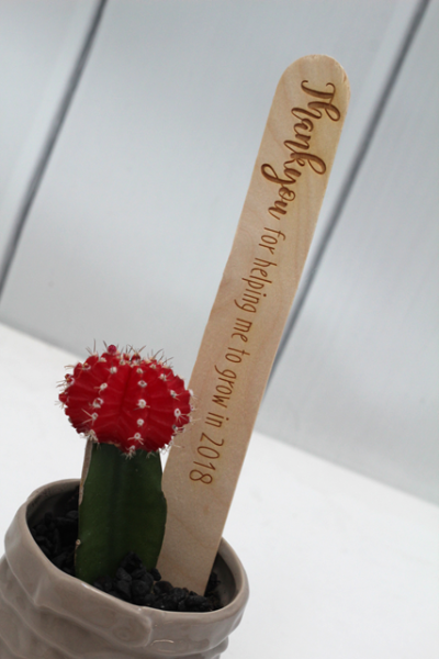 Teacher's Present - Popsicle Messages