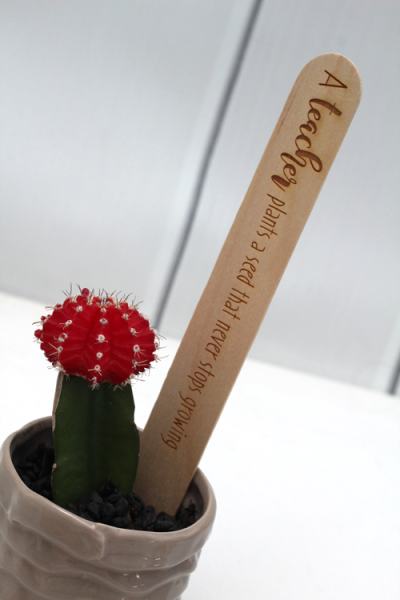 Teacher's Present - Popsicle Messages