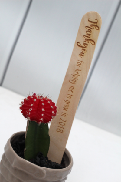 Teacher's Present - Popsicle Messages