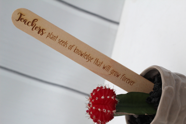 Teacher's Present - Popsicle Messages