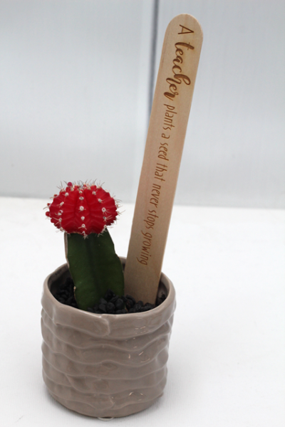 Teacher's Present - Popsicle Messages
