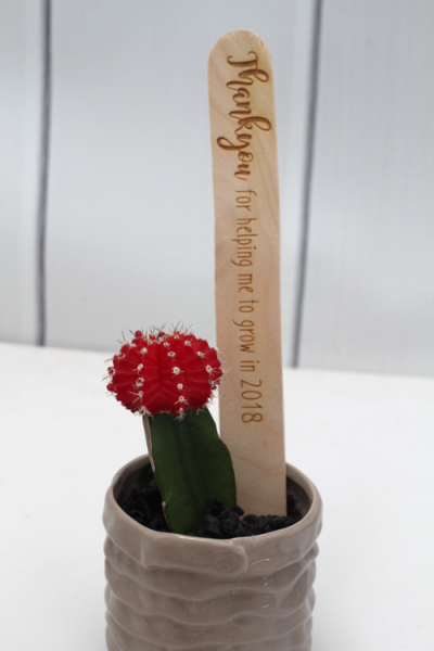 Teacher's Present - Popsicle Messages