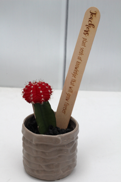 Teacher's Present - Popsicle Messages