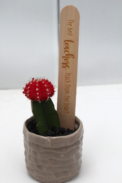 Teacher's Present - Popsicle Messages