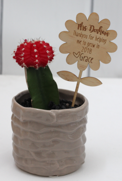 Teacher's Present - Flower Pot