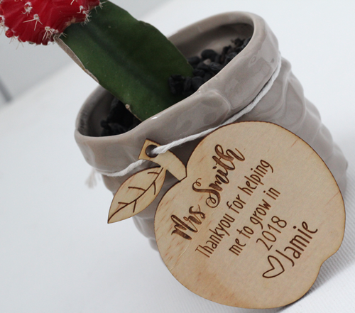 Teacher's Present - Apple Tag