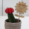 Teacher's Present - Flower Pot